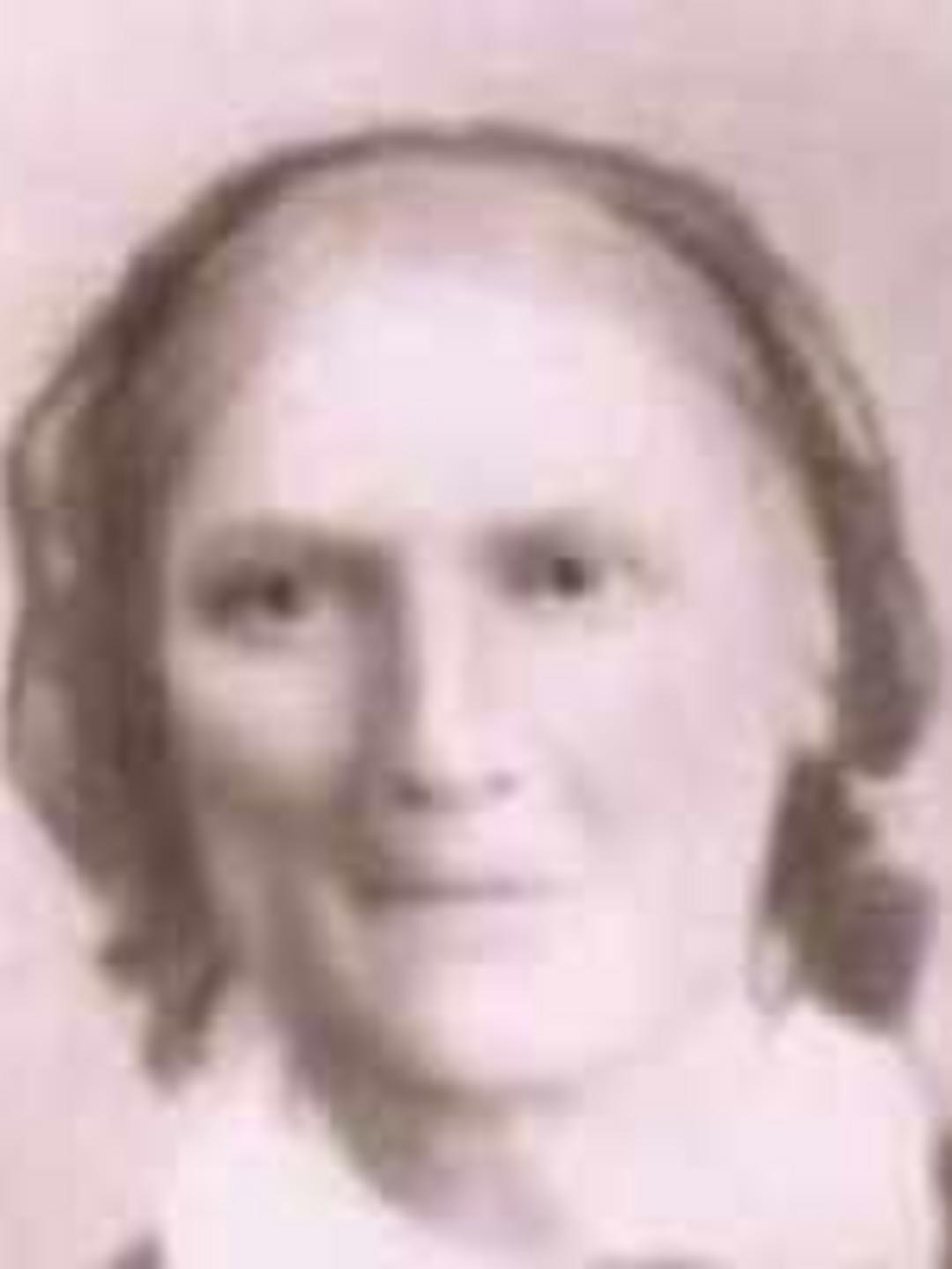 Elizabeth Taylor (1798 - 1860) Profile